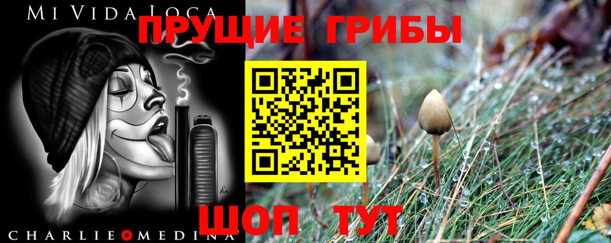 Галлюциногенные грибы GOLDEN TEACHER Отрадное